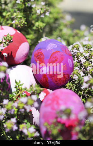 Easter eggs with daisy on fresh green grass on nest Stock Photo - Alamy