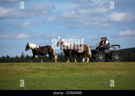 Sankt Margen, Germany, a horse drawn carriage pulled by horses, Black Forest Stock Photo