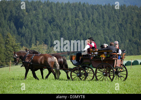Sankt Margen, Germany, a horse drawn carriage pulled by horses, Black Forest Stock Photo