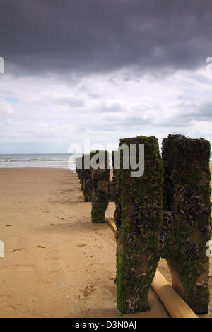 Groynes on Bridlington Beach, East Yorkshire Stock Photo