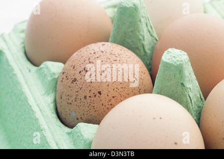 Brown eggs in green packaging, one speckled. Stock Photo