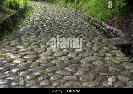 Kanayazaka slope in Shizuoka is a remaining ishidatami cobblestone segment of old historic Tokaido Road between Tokyo and Kyoto. Stock Photo