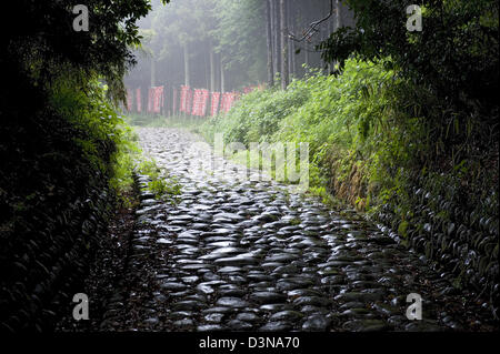 Kanayazaka slope in Shizuoka is a remaining ishidatami cobblestone segment of old historic Tokaido Road between Tokyo and Kyoto. Stock Photo