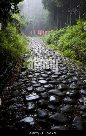 Kanayazaka slope in Shizuoka is a remaining ishidatami cobblestone segment of old historic Tokaido Road between Tokyo and Kyoto. Stock Photo