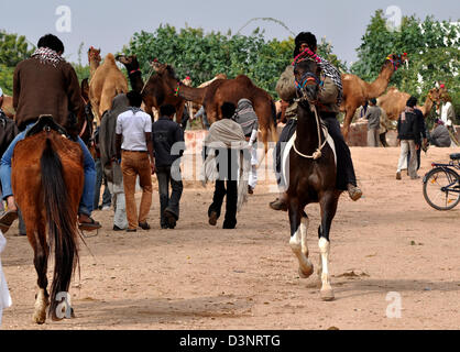 A buyer takes a test ride of a horse during cattle fair in western Indian town of Nagaur, in Rajasthan state. Stock Photo