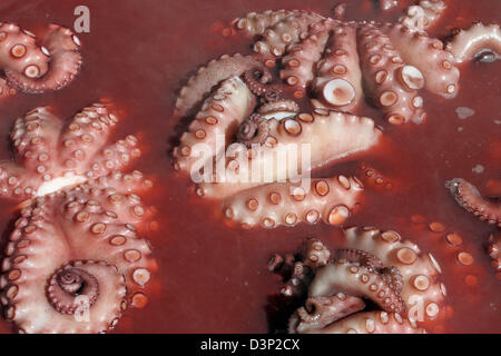 (dpa file) - The picture shows cooked octopus, Eivissa, Spain, May 2006. Photo: Heiko Wolfraum Stock Photo