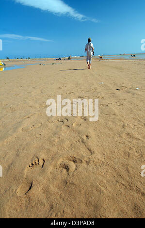 Footprints in sand, desert, Dahab, Egypt, Africa Stock Photo