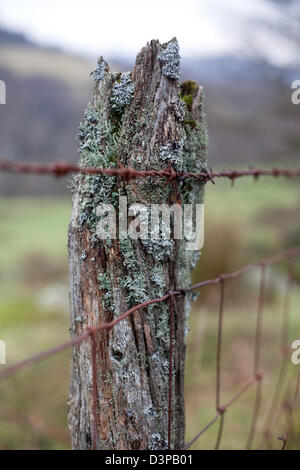 Old weathered fence post and barbed wire fence, Lake District, Cumbria Stock Photo