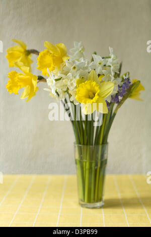 Cheerful mixed cut daffodils in a glass vase on a yellow check tablecloth with a natural background Stock Photo