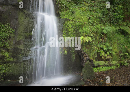 Melin Court (also Melin Cwrt) waterfall Resolven Vale of Neath Neath & Port Talbot South Wales UK Stock Photo