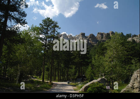 Blue sky view, from green pine trees Presidential Trail pathway, cliff-face presidents, Mount Rushmore, South Dakota, USA Stock Photo