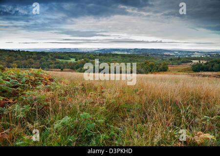 View of Broadstone Warren, Ashdown Forest, East Sussex, UK Stock Photo