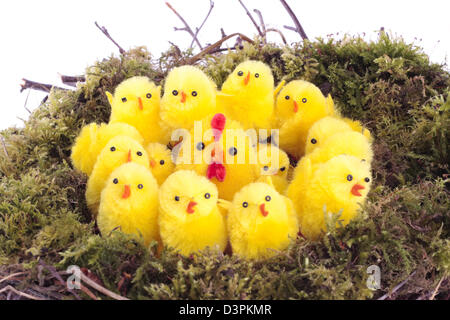 Easter decorations on nest Stock Photo
