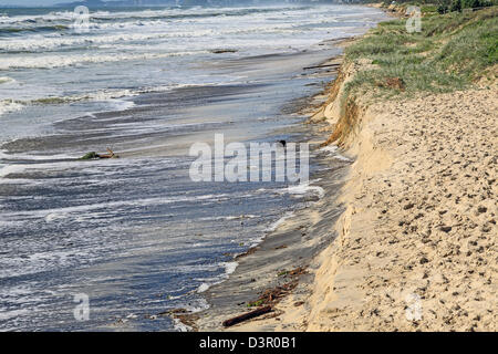 Beach erosion after storm activity Gold Coast Australia, pristine sandy beaches left with dangerous scarping and dark sands Stock Photo