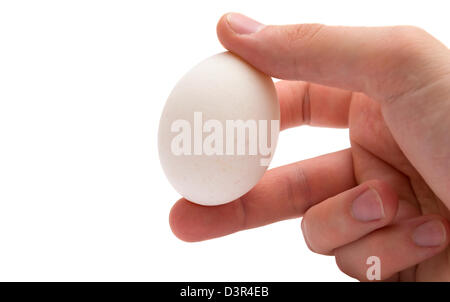 The hand holds an egg. isolated. Stock Photo