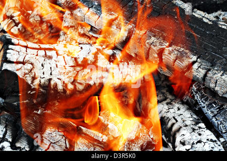 Very hot camp fire as a background Stock Photo