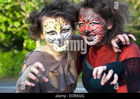 Cats festival in Ypres (2012) Stock Photo