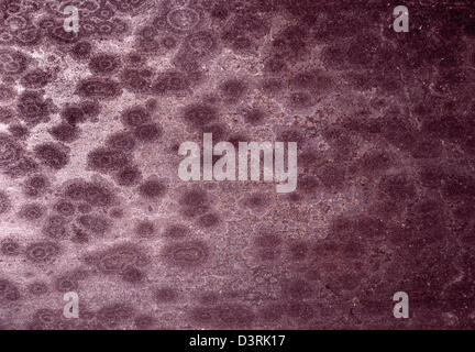 Scratched metal grunge surface with corrosion spots Stock Photo