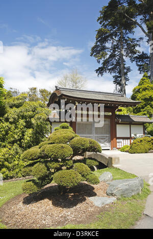 The Japanese Tea Garden, Golden Gate Park, San Francisco, California, USA Stock Photo