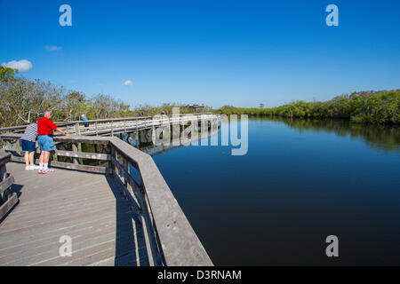 Anhinga Trail boardwalk at the Royal Palm Visitor Center in Everglades National Park Florida Stock Photo
