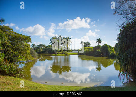 Fairchild Tropical Botanic Garden in Coral Gables in the Miami area of Florida Stock Photo