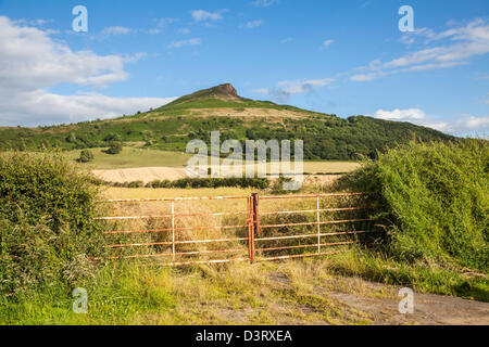 Roseberry Topping, North Yorkshire. Stock Photo