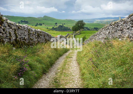 The Pennine Bridleway route near Stainforth in North Yorkshire. Stock Photo