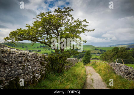 The Pennine Bridleway route near Stainforth in North Yorkshire. Stock Photo