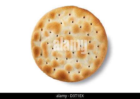 Biscuit - John Gollop Stock Photo