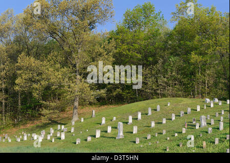 Cemetery at the edge of summer woods with old headstones in peaceful morning light, rural countryside in Pennsylvania, PA, USA. Stock Photo