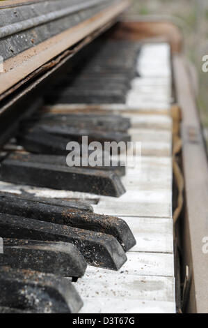 Piano keys close up, an abandoned grunged and broken keyboard sitting outside in the weather, very shallow DOF. Stock Photo