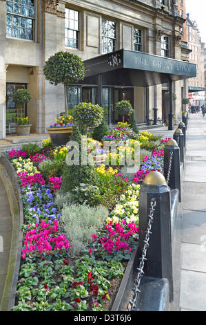 JW Marriott Grosvenor House luxury hotel in Park Lane Mayfair flowers & pavement outside the Great Room ballroom entrance West End London England UK Stock Photo