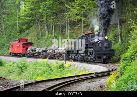 Steam train hauling logs rounding S curve in the woods Stock Photo