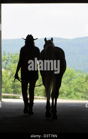 Woman and horse silhouetted in open barn door, a country girl wearing cowboy hat, summer shorts, and boots. Stock Photo