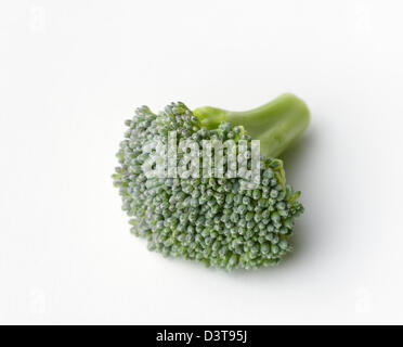 Broccoli floret Stock Photo