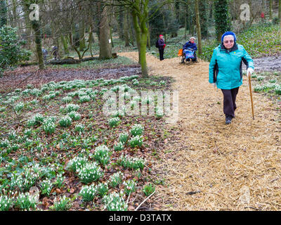 Visitors on the annual Snowdrop Walk at the 'House of God' a home for elderly people established in Greatham C0. Durham in 1273 Stock Photo