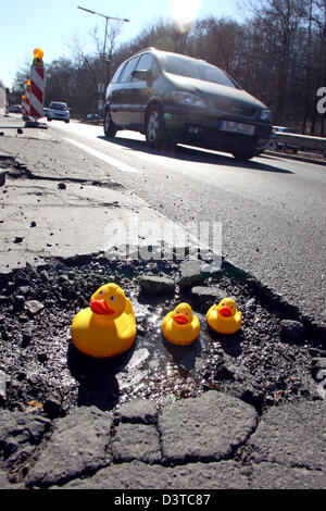 Berlin, Germany, Rubber Ducks sitting in a pothole Stock Photo