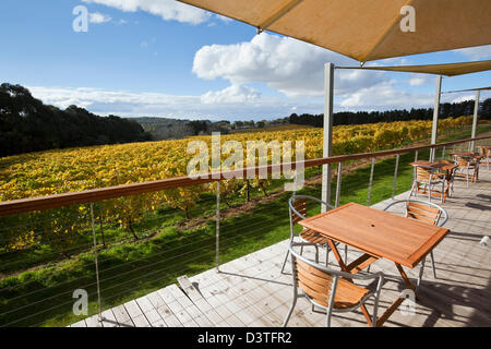 Restaurant overlooking the vineyards at Lark Hill Winery. Bungendore, Canberra, Australian Capital Territory (ACT), Australia Stock Photo