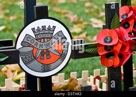 Cornwall Regiment Remembrance day crosses and poppies at Westminster Abbey London England Europe Stock Photo