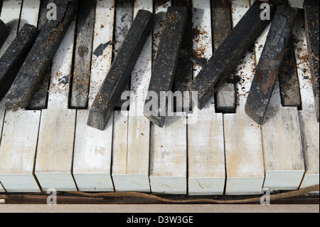 Piano keys close up, an abandoned grunged and broken keyboard sitting outside in the weather. Stock Photo
