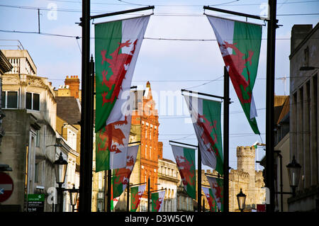 Welsh flags on St Mary Street in Cardiff Stock Photo