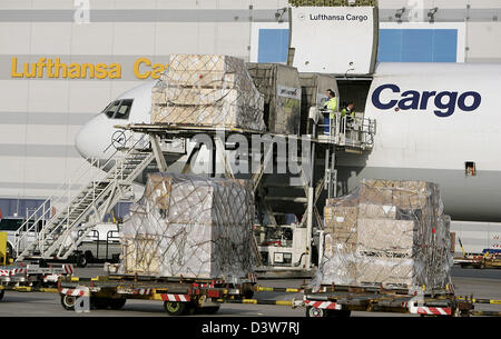 Lufthansa Cargo workers load a MD-11 cargo plane at the 'Rhein-Main ...