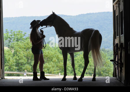 Woman and horse silhouetted in open barn stable door, wearing cowboy hat, shorts, and boots Stock Photo