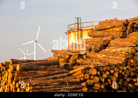 Logs bound for a biofuel power station in Workington next to oil tanks in Workington port, Cumbria, UK Stock Photo