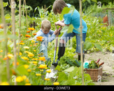 Children at the allotment Stock Photo