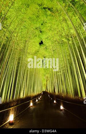 The bamboo forest of Kyoto, Japan. Stock Photo