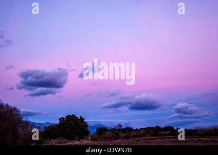 cielo magenta Stock Photo
