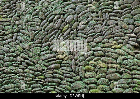 Old stone wall covered with moss and plants - background Stock Photo
