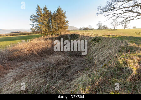 Damaged Penyrwrlodd long barrow partly destroyed in the Black Mountains Wales UK Stock Photo