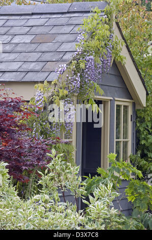 Wisteria shrubs contrasting colours with shed on Geoff Whitens bronze medal winning exhibit 'Real Life Brett' Chelsea 2008 Stock Photo